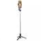 Трипод Proove Tiny Stick Selfie Stick Tripod (680 mm)